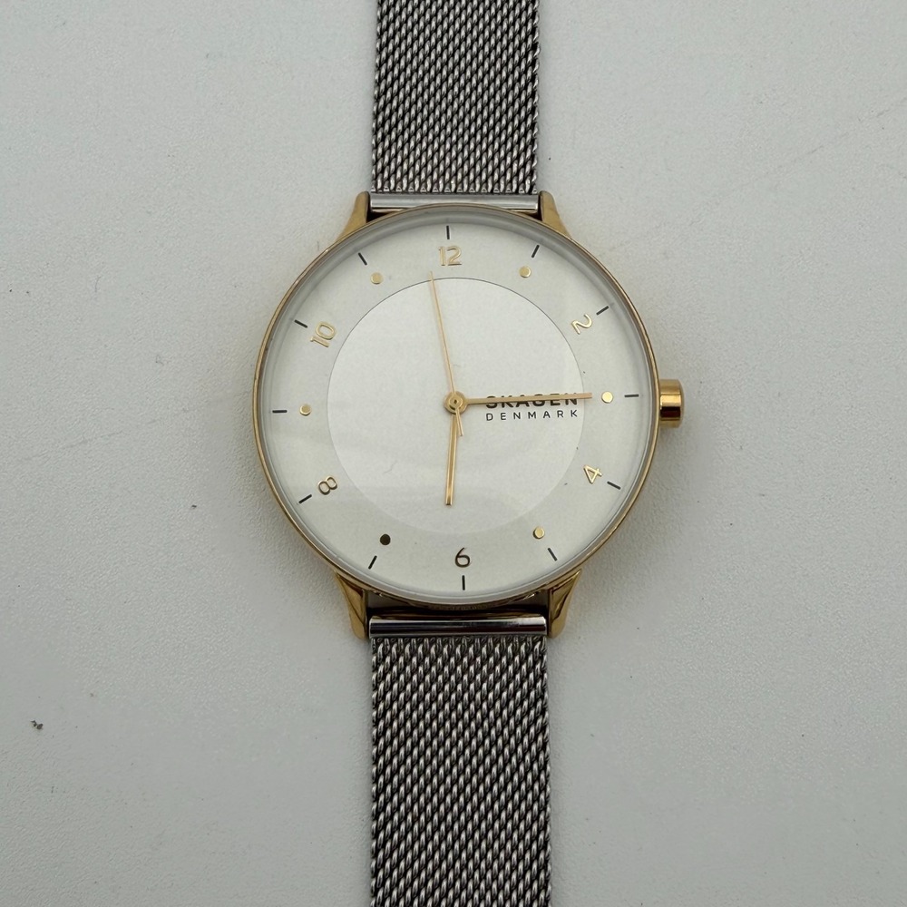 Skagen Riis Womens Watch Two Tone Stainless Steel Mesh SKW2912